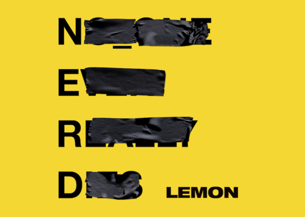 NERD-lemon-616x440