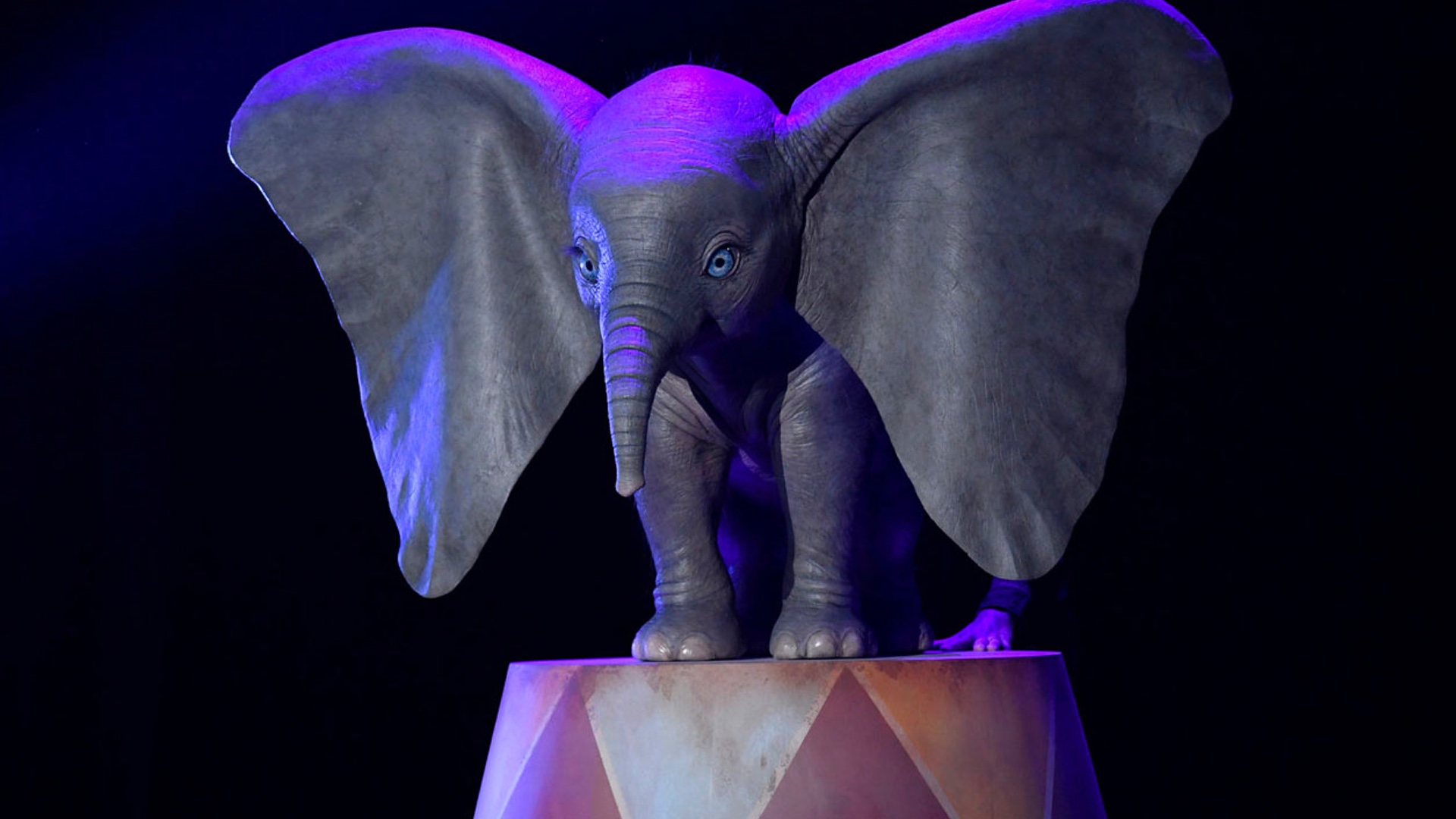 disney-shares-footage-of-tim-burtons-dumbo-and-new-details-are-revealed-social
